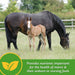 Mare Plus Gestation and Lactation Supplement - FAMS - 5 lb Mare Plus Gestation and Lactation Supplement - 4
