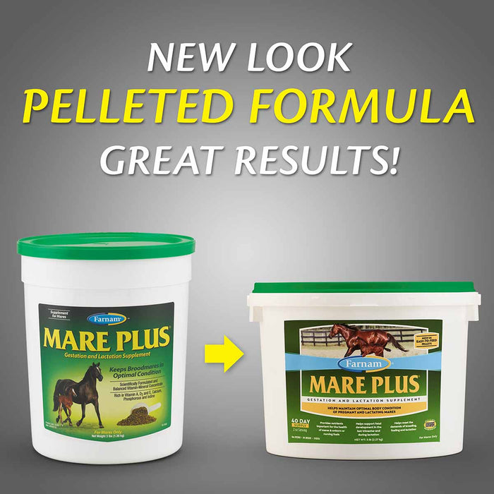 Mare Plus Gestation and Lactation Supplement - FAMT - 7.5 lb Mare Plus Gestation and Lactation Supplement - 15