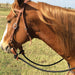 Martin Saddlery 1/2" Braided Rein - CRZN - 1