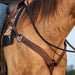 Martin Saddlery 2" Weave Stamped Leather Breast Collar - CR1WD - Brown - Horse - 3