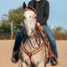 Martin Saddlery Leather Browband Headstall with Scroll Tooling - CR1WQ - Brown - Horse - 4