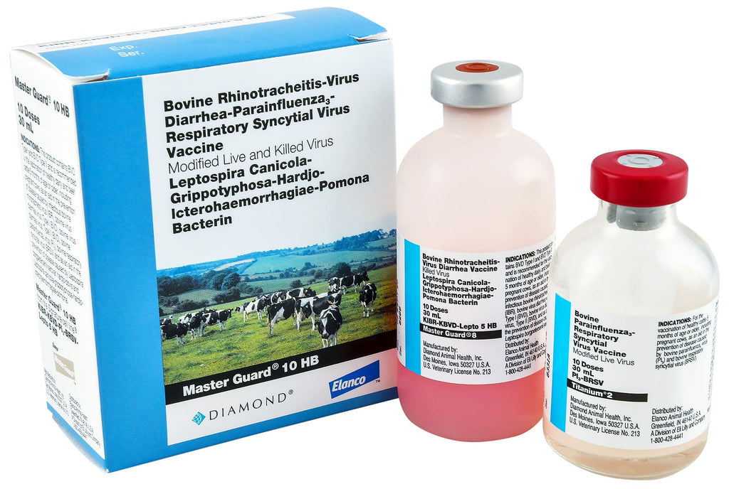 Leptospirosis Vaccines for Cattle | Lepto Vaccines — Jeffers