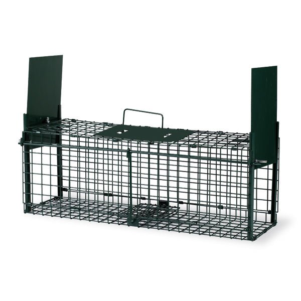 Metal Two - Door Live Animal Cage Trap – Foldable & Durable - GAUF4 - 1