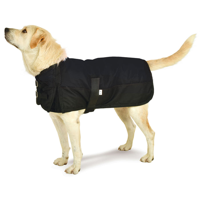 Premium Winter Dog Coat by Jeffers - Black/Black 26-30 in 