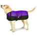 Premium Winter Dog Coat by Jeffers - Purple/Black 14-17 in 