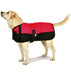 Premium Winter Dog Coat by Jeffers - Red/Black 14-17 in 