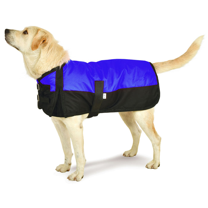 Premium Winter Dog Coat by Jeffers - Royal Blue/Black 34-37 in 