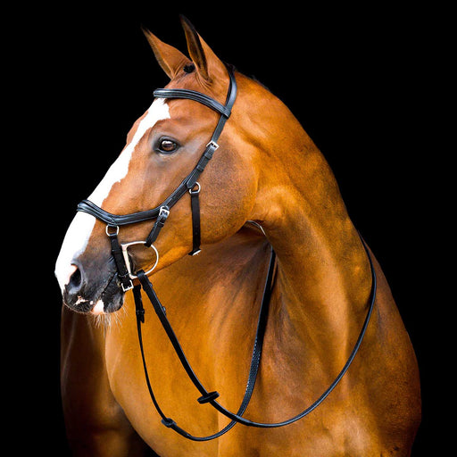 Micklem 2.0 Deluxe Competition Bridle, Black - Jeffers - Horse Supplies > Horse Tack > Bridles & Headstalls