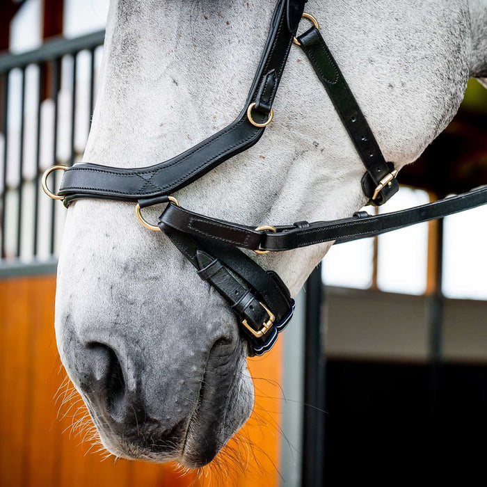 Micklem 2.0 Multi Bridle, Black - Jeffers - Horse Supplies > Horse Tack > Bridles & Headstalls