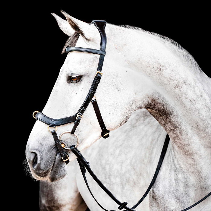 Micklem 2.0 Multi Bridle for Horses – Adjustable Bit Straps, Padded Leather, Pressure - Relief Design - FO50K - Black - Full - 12