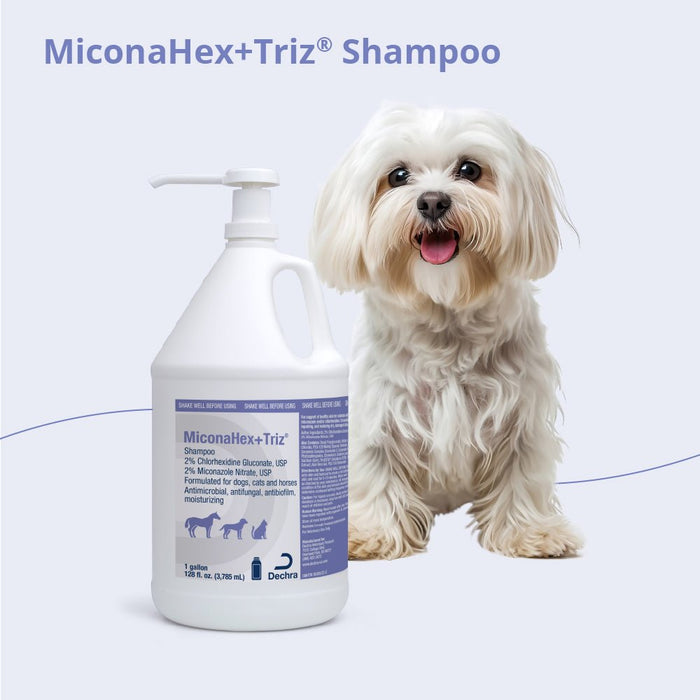 MiconaHex+Triz Medicated Antifungal & Antibacterial Shampoo for Dogs, Cats & Horses - 013DP-73015 - 1 Gallon - 12
