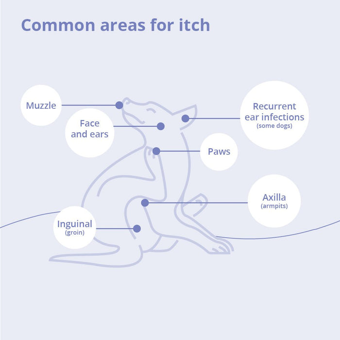 Miconahex+Triz Medicated Antimicrobial Spray Conditioner for Dogs, Cats, and Horses - 013DP-80082 - 8 oz - 6