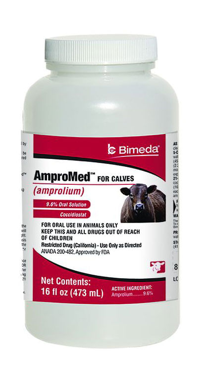 AmproMed Oral Solution for Calves - 16 oz AmproMed Oral Solution for Calves  