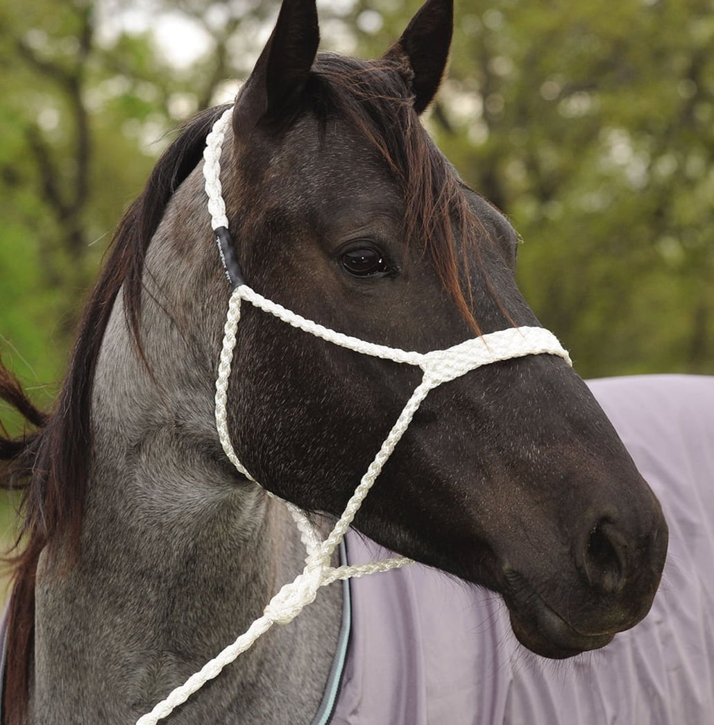 Quality Rope Halters for Horses — Jeffers
