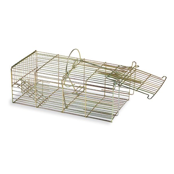 Multi - Catch Live Mouse Trap – Humane & Reusable - GAUF3 - 1