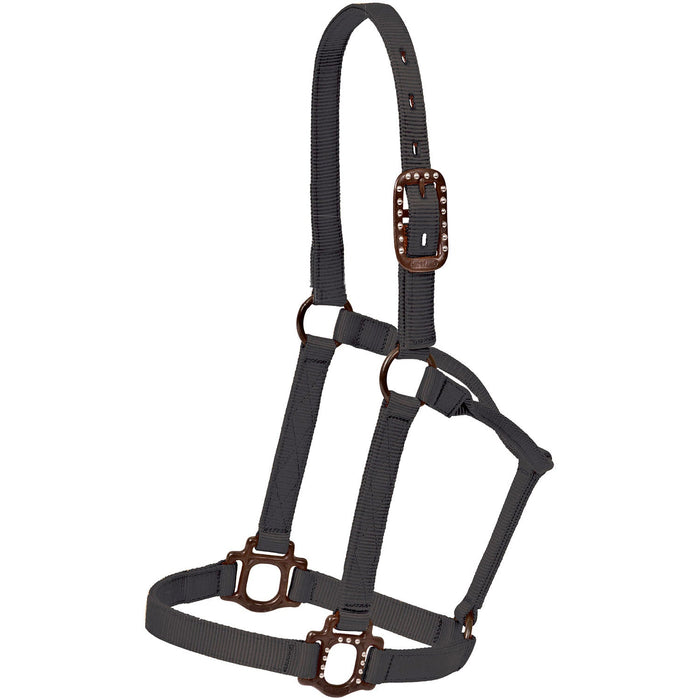 Mustang Nylon Halter with Antique Dot Hardware for Horses - 1212AD - Black - Horse - 1 ct - 3