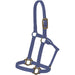 Mustang Nylon Halter with Antique Dot Hardware for Horses - 1212AE - Navy - Horse - 1 ct - 4