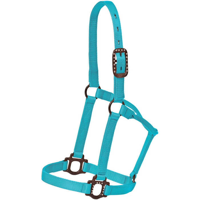 Mustang Nylon Halter with Antique Dot Hardware for Horses - 1212AH - Aqua - Horse - 1 ct - 7