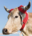 Mustang Stinger Horn Wrap - Jeffers - Cattle Supplies > Cattle Supplies