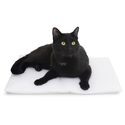 Mysterious Purr Padd - Jeffers - Cat Supplies > Cat Beds