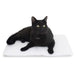 Mysterious Purr Padd - Jeffers - Cat Supplies > Cat Beds