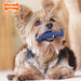 Nylabone Dental Chew Bone - Dental Chew Bone, Regular  