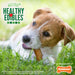 Nylabone Healthy Edibles, Regular (4.5"), 3 pack - Chicken  