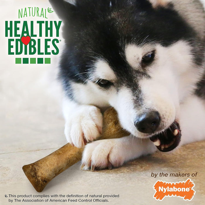 Nylabone Healthy Edibles, Souper (8") - Roast Beef  