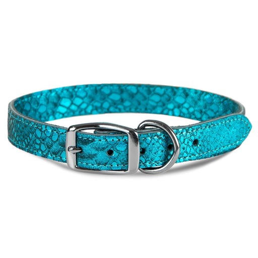 Native Leather Dog Collars - LY4C - Turquoise - 1"x 22" - 1
