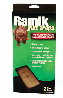 2-pk Ramik Rat Glue Traps -   