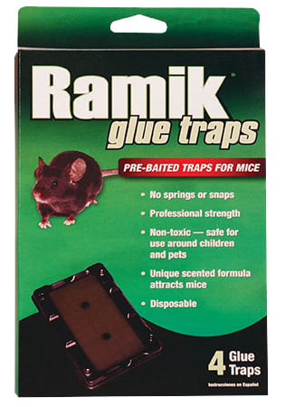 4-pk Ramik Mouse Glue Traps -   