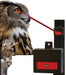 Nite Guard Solar Flash Animal Repellent Device - Jeffers - Animal & Pet Supplies > Pet Containment Systems