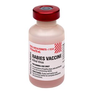Ferrets Rabies Rx Nobivac 1-Rabies Vaccine, 10 mL vial, No Tags for Dogs, Cats ...