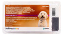 Nobivac Canine 1 - DAPPv+L4 (9 - way shot) Dog Vaccine - Jeffers - Animal Health & Wellness > Vaccines