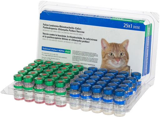 Nobivac Feline 1 - HCPCh+FeLV - Jeffers - Animal Health & Wellness > Vaccines