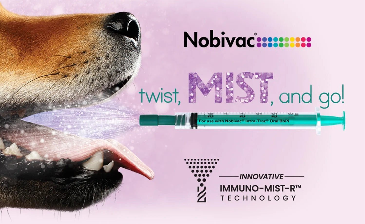 Nobivac Intra-Trac Oral BbPi Dog Vaccine — Jeffers