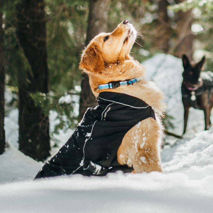 North Country Coat - Jeffers - Dog Supplies > Dog Apparel