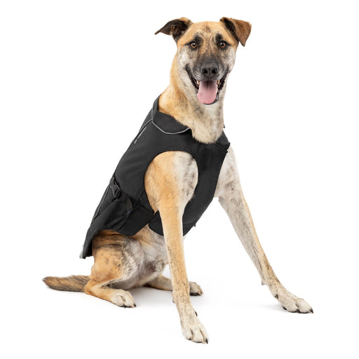 North Country Coat - Jeffers - Dog Supplies > Dog Apparel