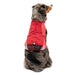 North Country Coat - Jeffers - Dog Supplies > Dog Apparel