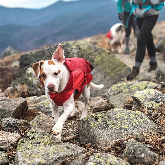 North Country Coat - Jeffers - Dog Supplies > Dog Apparel