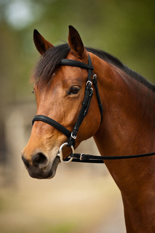 Nunn Finer Event Bridle - Black/Zinc Cob 