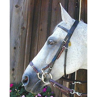 Kineton Noseband -   