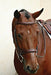 Nunn Finer Caterina Hunter Bridle, Brown - Jeffers - Horse Supplies > Horse Tack > Bridles & Headstalls