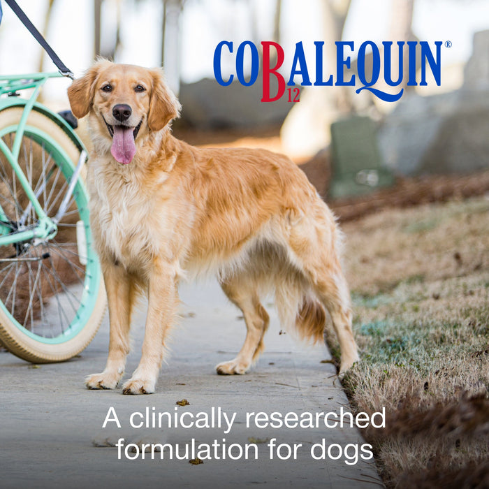 Nutramax Cobalequin B12 Supplement for Cats & Dogs - 015NM-COBMLG45 - 22 lbs and Over - 45 ct - 14