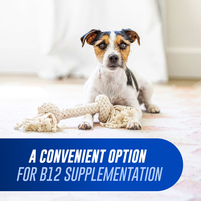 Nutramax Cobalequin B12 Supplement for Cats & Dogs - 015NM-COBSM45 - Less than 22 lbs - 45 ct - 6