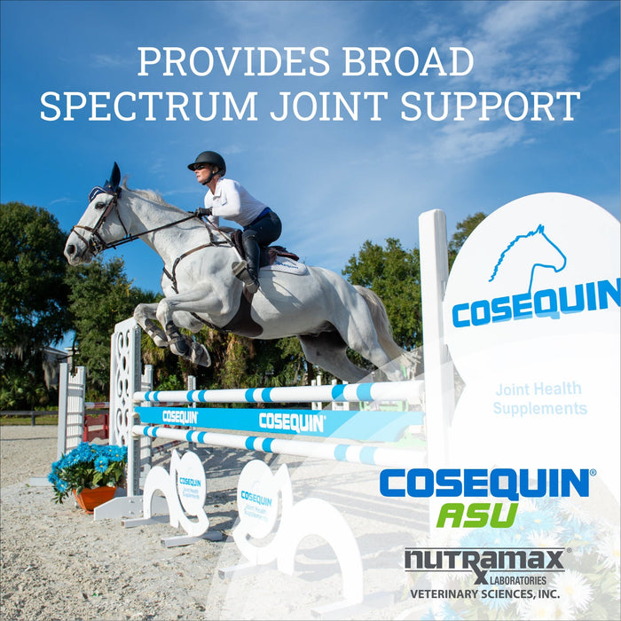 Nutramax Cosequin ASU Joint Health Supplement for Horses - 060NM-EQNASU500 - 500 g - 5
