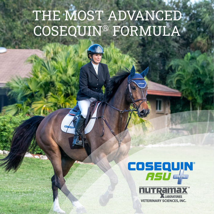 Nutramax Cosequin ASU Plus Joint Health Supplement for Horses - 060NM-ASU-1050 - 8