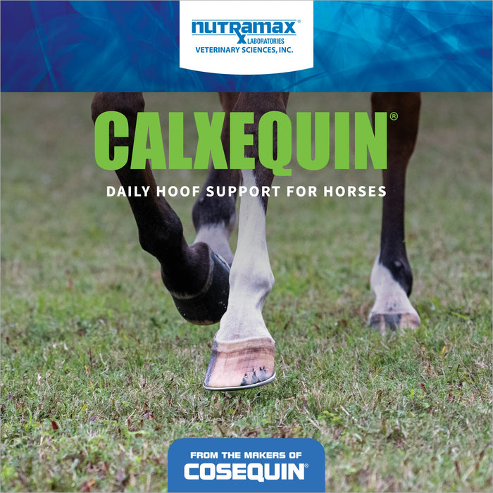 Nutramax Cosequin Calxequin Pellets Daily Hoof Support for Horses, 1260 Grams - 060NM-3000250 - 3