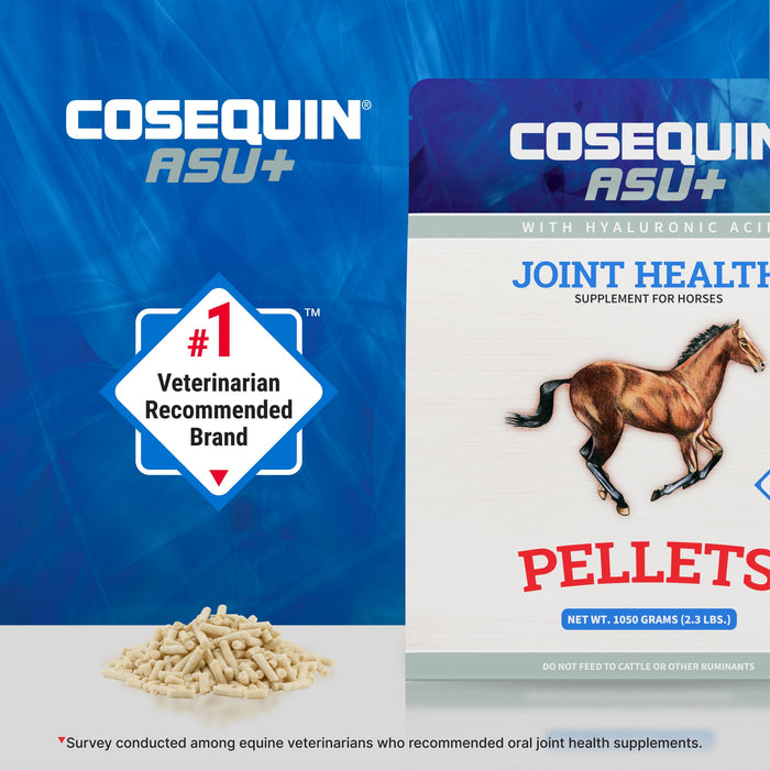Nutramax Cosequin Equine ASU Plus Pellets, 1050 Grams - 060NM-3000264 - 1050g - 3