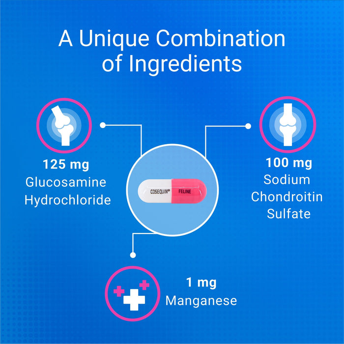 Nutramax Cosequin Joint Health with With Glucosamine and Chondroitin Supplement for Cats, 80 Capsules - 015NM-CAT80 - 7